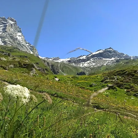 Achillea Alpina Cervinia Vda Vacanze In Vetta Cir 0249 Апартаменты