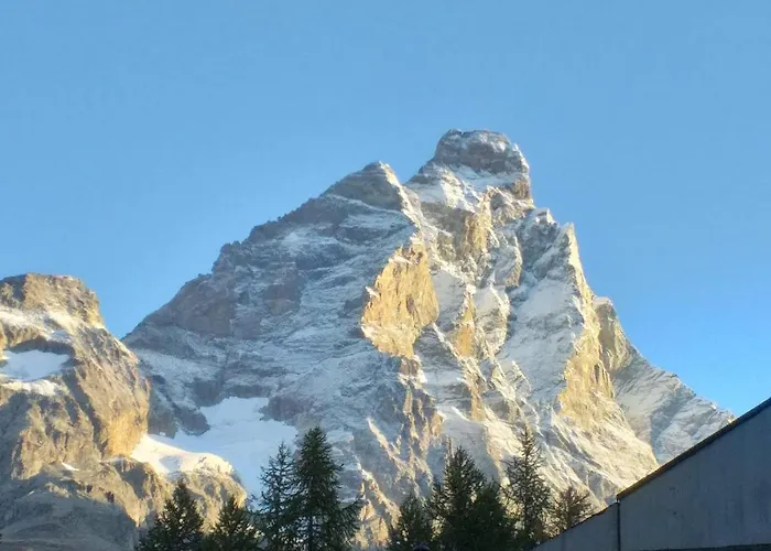 Achillea Alpina Cervinia Vda Vacanze In Vetta Cir 0249